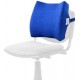 Vissco New Moulded Orthopaedic Back Rest