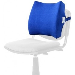 Vissco New Moulded Orthopaedic Back Rest