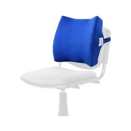 Vissco New Moulded Orthopaedic Back Rest