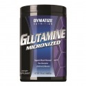 Dymatize Glutamine, 1.1lb - Dymatize