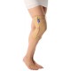 Vissco Elastic Knee Cap with Hinges  - 0706