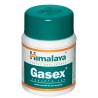 Gasex® Tablet - Himalaya