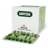 Addyzoa Capsules - Charak 