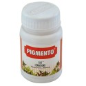 Pigmento Tablets - Charak