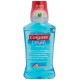   Plax Fresh Mint Mouthwash - Colgate Palmolive 