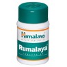 Rumalaya Tablets 60 - Himalaya