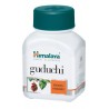 Guduchi Tablets - Himalaya