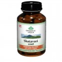 Shatavari Capsules - Organic India